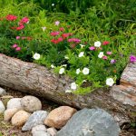 تزیین باغچه حیاط با ۲۷ ایده ساده و متفاوت!